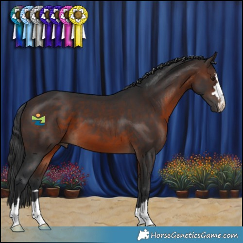 Horse Color:Brown 