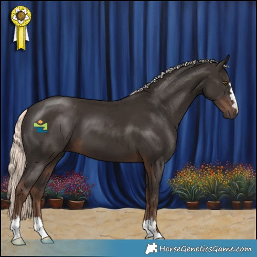 Horse Color:Liver Chestnut Mushroom 