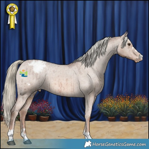 Horse Color:Red Dun Mushroom Appaloosa Brindle 