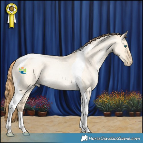 Horse Color:Buckskin Roan Pearl Dun Tobiano 