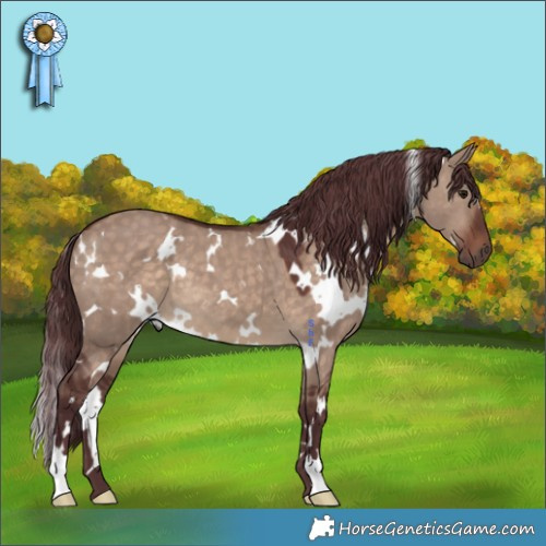 Horse Color:White Spotted Chocolate Brown Dun 