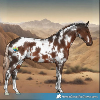 Horse Color:White Spotted Liver Chestnut 