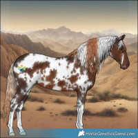 Horse Color:White Spotted Liver Chestnut