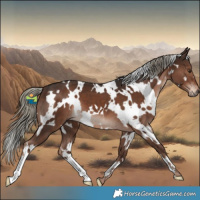 Horse Color:White Spotted Liver Chestnut Mushroom