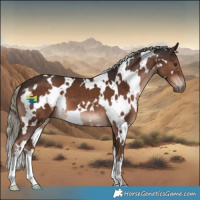 Horse Color:White Spotted Liver Chestnut Mushroom 