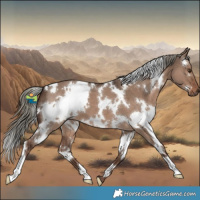 Horse Color:White Spotted Liver Red Dun Mushroom 