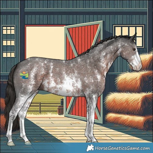 Horse Color:Liver Chestnut Sabino 