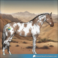 Horse Color:White Spotted Liver Red Dun 