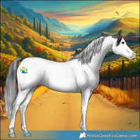 Horse Color:Buckskin Roan Splash Tobiano 