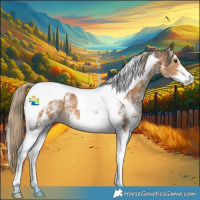 Horse Color:Chocolate Palomino Sabino Tobiano 