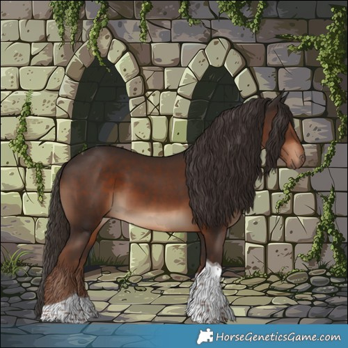 Horse Color:Liver Chestnut Tobiano