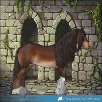 Horse Color:Liver Chestnut Tobiano 