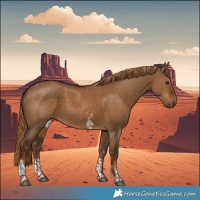 Horse Color:Liver Red Dun Sabino Tobiano