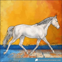 Horse Color:Cremello Roan