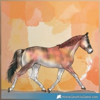 Horse Color:Gray Plaid  Liver Red Onyx Tobiano
