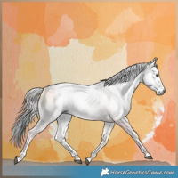 Horse Color:Gray Plaid Liver Red Onyx Tobiano