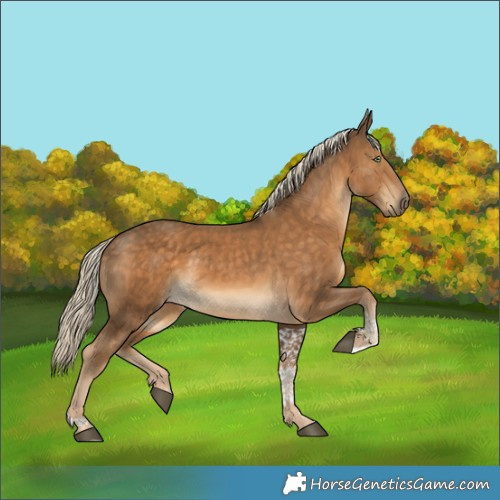 Horse Color:Chocolate Palomino Tobiano 