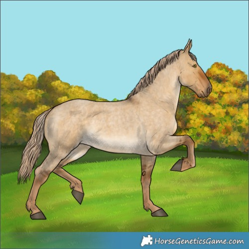 Horse Color:Chocolate Palomino Roan Dun Rabicano 