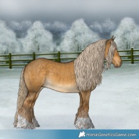 Horse Color:Chocolate Palomino Dun Tobiano Rabicano 