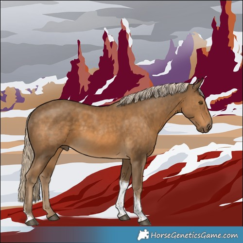 Horse Color:Chocolate Palomino Tobiano 