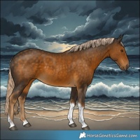 Horse Color:Chocolate Palomino Tobiano