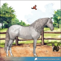 Horse Color:Liver Red Dun Appaloosa Brindle