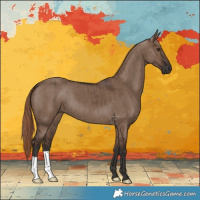 Horse Color:Liver Red Dun Brindle 