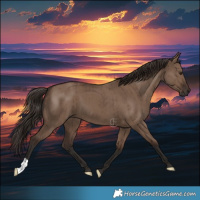 Horse Color:Liver Red Dun Brindle 