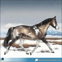 Horse Color:White Spotted Brown Onyx Sabino 