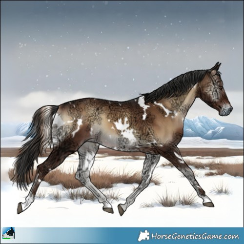 Horse Color:White Spotted Liver Red Onyx Ice 