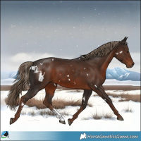 Horse Color:White Spotted Liver Chestnut Sabino Rabicano 