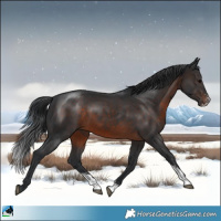 Horse Color:Brown Sabino