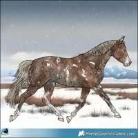 Horse Color:White Spotted Gold Champagne Ice Sabino Rabicano 