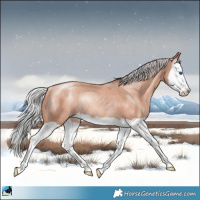 Horse Color:Silver Amber Champagne Mushroom Splash Rabicano