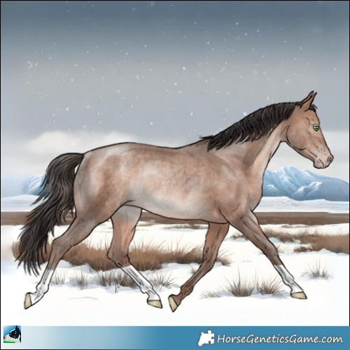 Horse Color:Sable Champagne Mushroom Rabicano