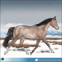 Horse Color:Sable Champagne Mushroom Rabicano 