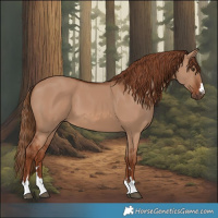 Horse Color:Red Dun 