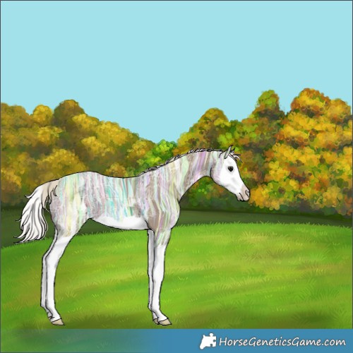 Horse Color:Silver Smoky Black Ice Splash 