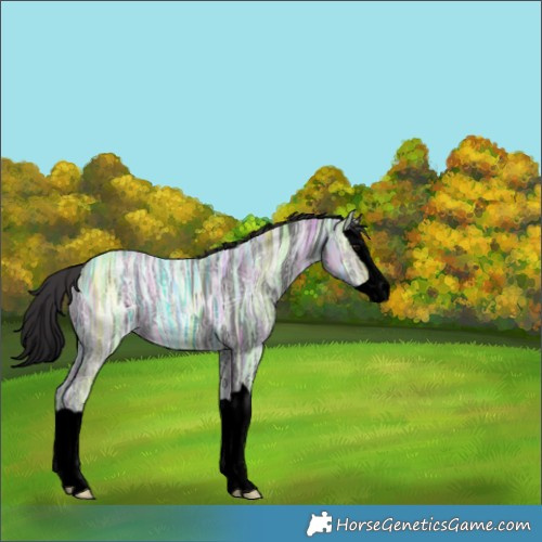 Horse Color:Void Smoky Black Ice Splash 