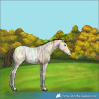 Horse Color:Buckskin Ice 