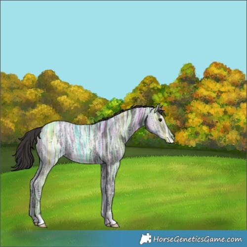 Horse Color:Smoky Black Ice 