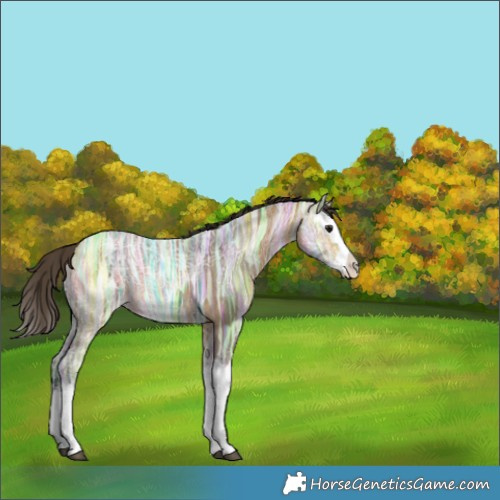 Horse Color:Buckskin Ice Splash 