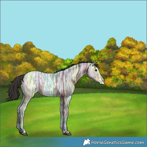 Horse Color:Brown Ice 