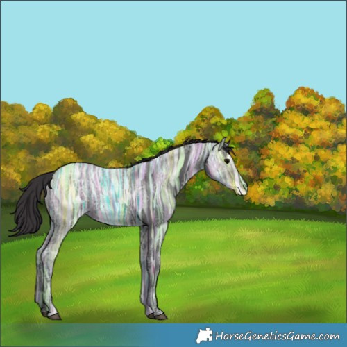 Horse Color:Smoky Black Ice 