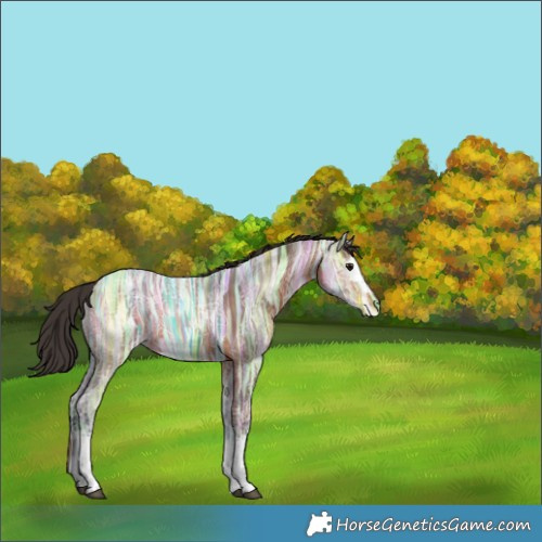 Horse Color:White Spotted Bay Ice 