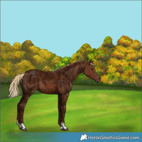 Horse Color:Chestnut Ice Tobiano Rabicano 
