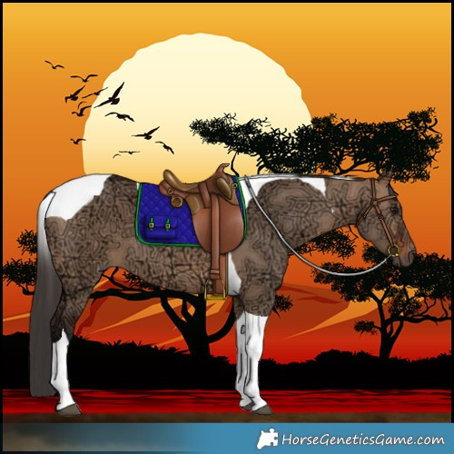 Horse Color:Bay Ice Dun Tobiano 