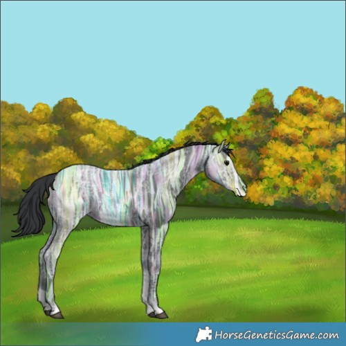 Horse Color:Black Ice Tobiano 