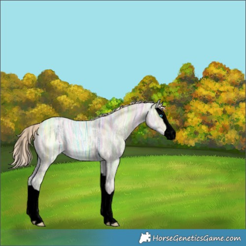 Horse Color:Void Smoky Creme Ice Splash 