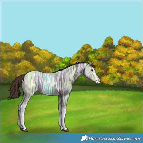 Horse Color:White Spotted Liver Chestnut Ice Rabicano 